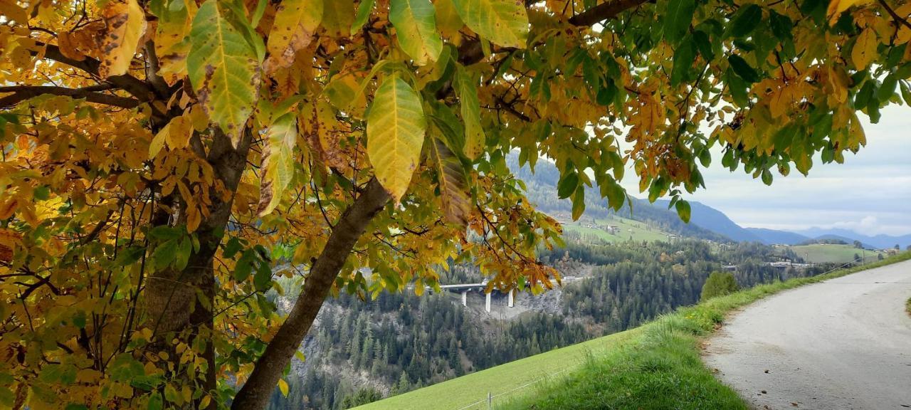 Steinhof Apartment กรีส อัม เบรนเนอร์ ภายนอก รูปภาพ